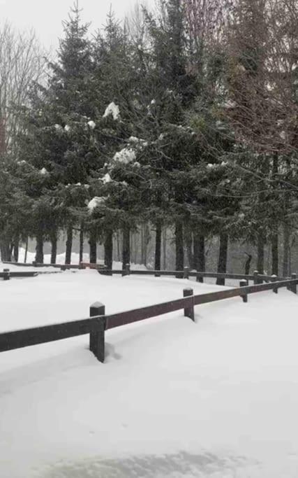 Appartamento Ampio Giardino Adiacente Piste Sci 4/6 Posti Letto ラ・トゥイール エクステリア 写真